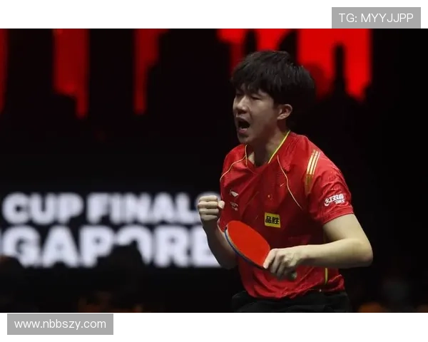 武汉乒乓球队在世界杯中的个人能力表现分析与点评